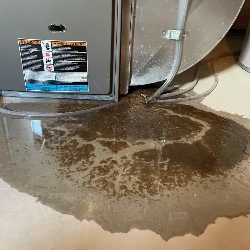 Appliance Leak Cleanup in Randolph County, MO